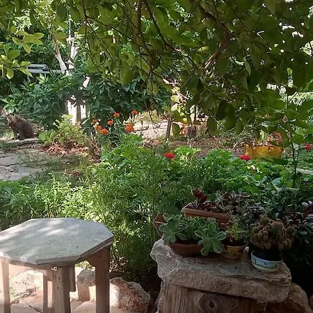 بيت للعطل Hakimemilas Milas