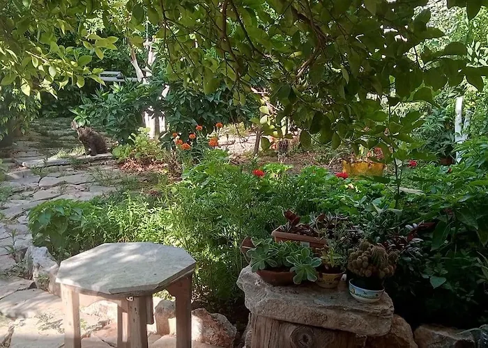 Tatil Evi Hakimemilas Milas