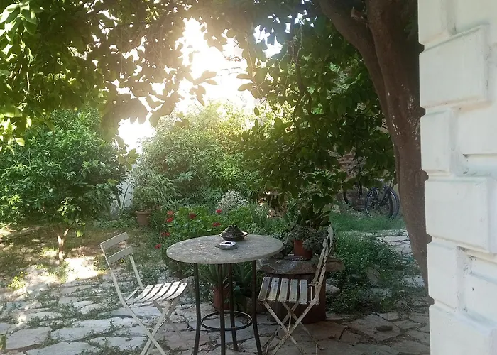 Hakimemilas *